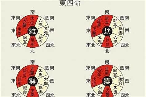 西四命什么意思|善韵缘｜何为东四命、西四命？怎么算？看这一篇就够 